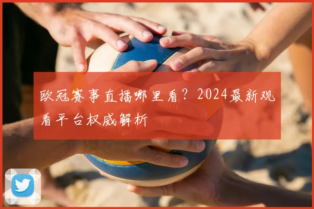 欧冠赛事直播哪里看？2024最新观看平台权威解析